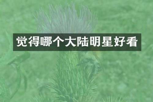 觉得哪个大陆明星好看