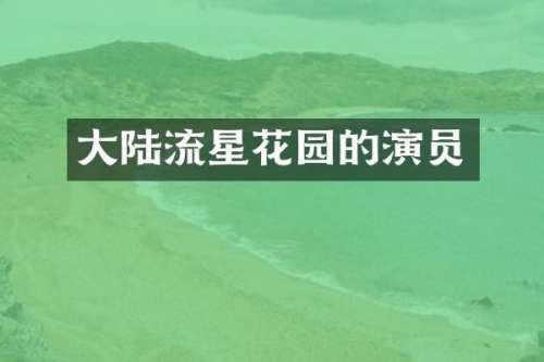 大陆流星花园的演员