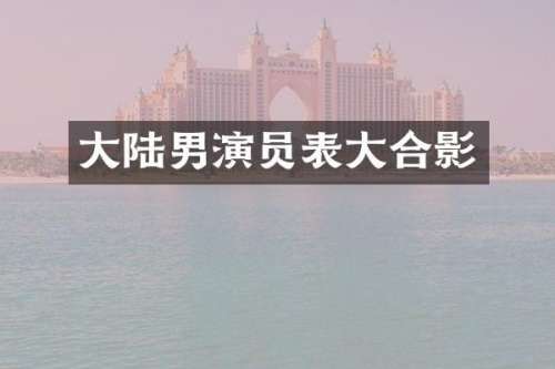 大陆男演员表大合影