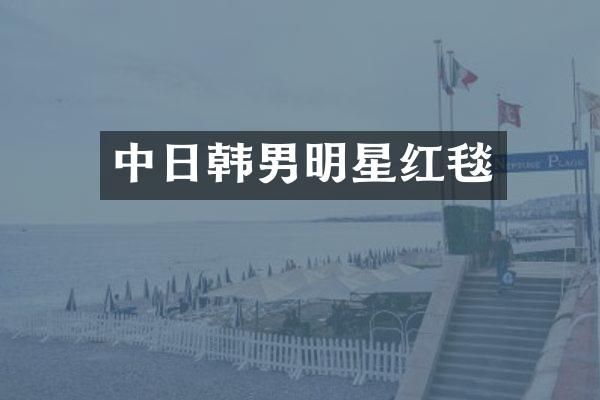 中日韩男明星红毯