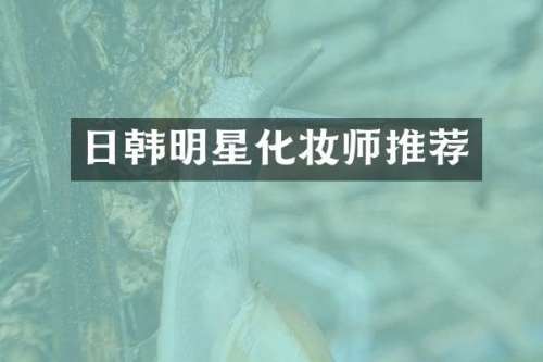 日韩明星化妆师推荐