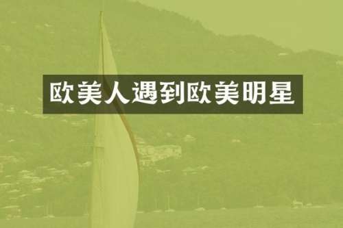 欧美人遇到欧美明星