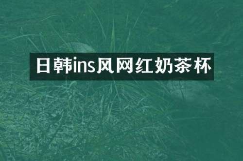 日韩ins风网红奶茶杯