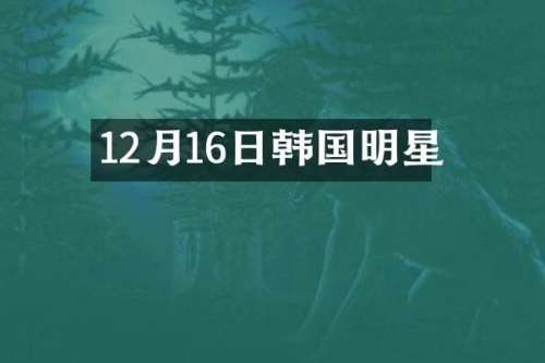 12月16日韩国明星