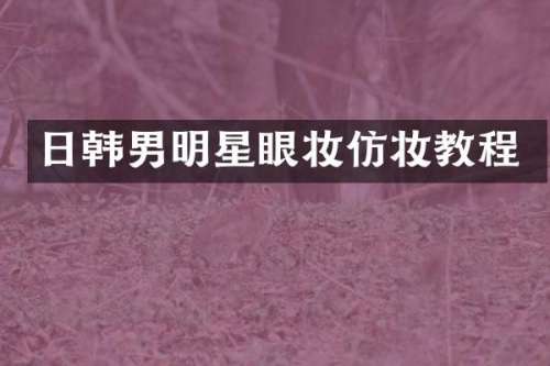 日韩男明星眼妆仿妆教程