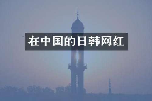 在中国的日韩网红