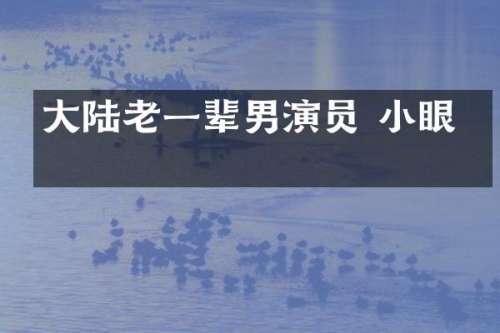 大陆老一辈男演员 小眼睛