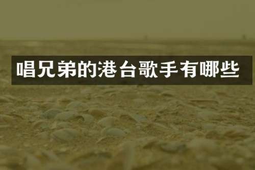 唱兄弟的港台歌手有哪些