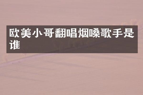 欧美小哥翻唱烟嗓歌手是谁