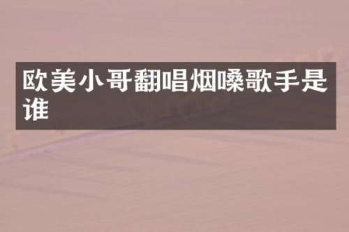 欧美小哥翻唱烟嗓歌手是谁