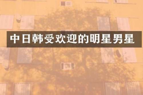 中日韩受欢迎的明星男星