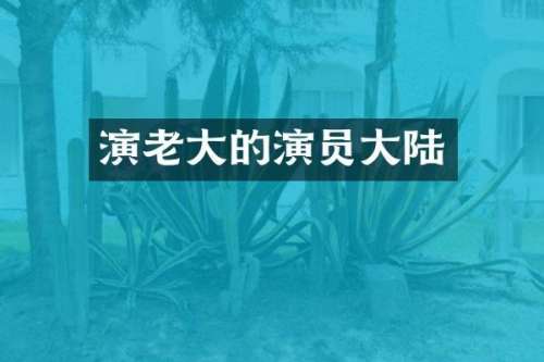 演老大的演员大陆