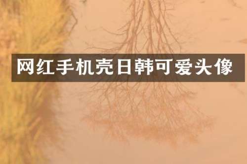 网红手机壳日韩可爱头像