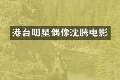 港台明星偶像沈腾电影