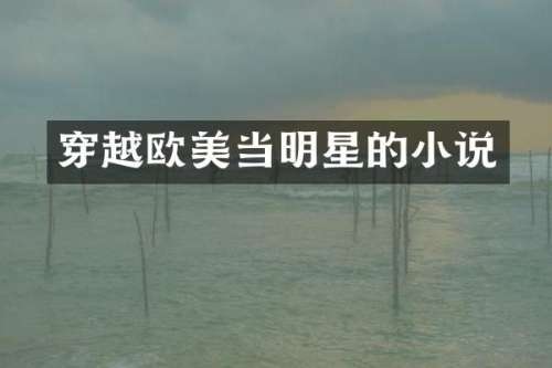 穿越欧美当明星的小说