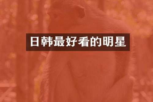 日韩最好看的明星