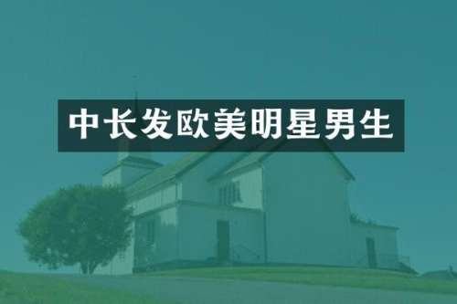 中长发欧美明星男生