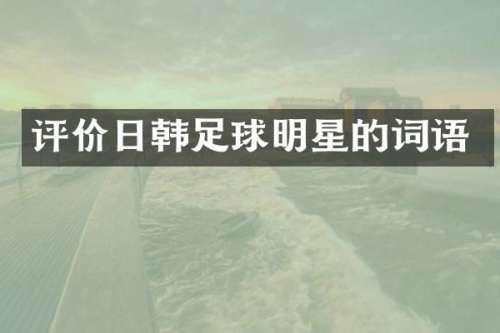 评价日韩足球明星的词语