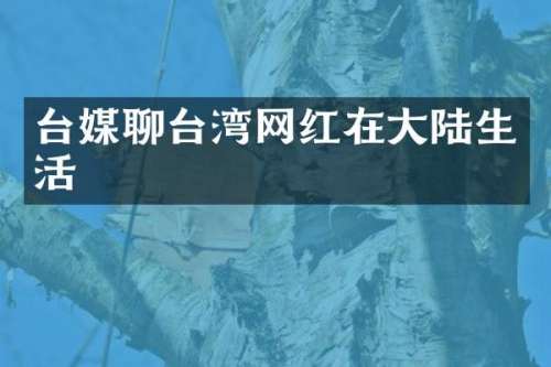 台媒聊台湾网红在大陆生活