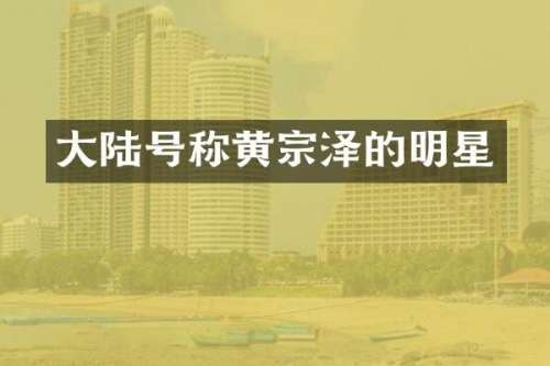 大陆号称黄宗泽的明星
