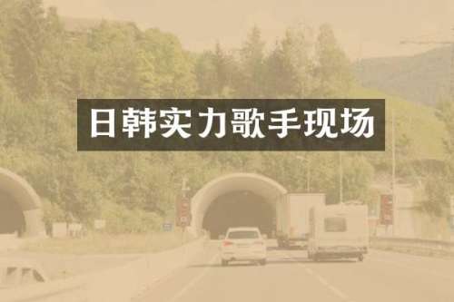 日韩实力歌手现场