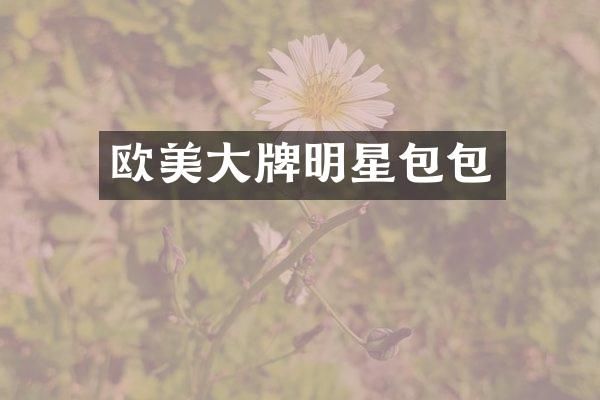 欧美大牌明星包包