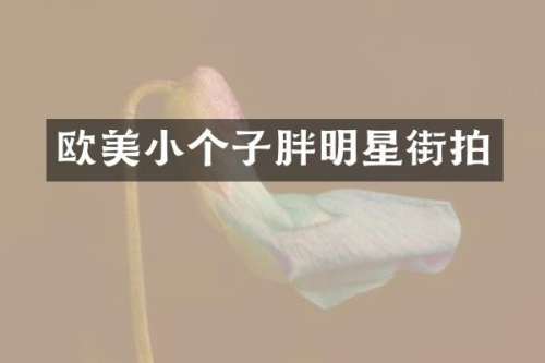 欧美小个子胖明星街拍