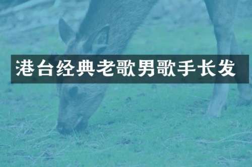 港台经典老歌男歌手长发