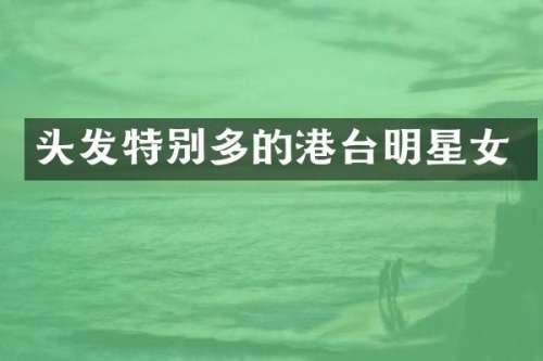 头发特别多的港台明星女