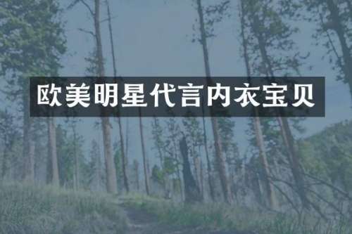 欧美明星代言内衣宝贝