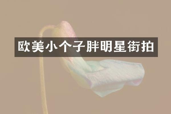 欧美小个子胖明星街拍