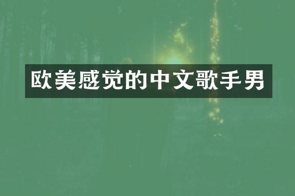 欧美感觉的中文歌手男