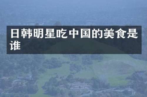 日韩明星吃中国的美食是谁