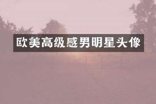 欧美高级感男明星头像