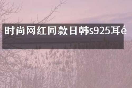 时尚网红同款日韩s925耳钉