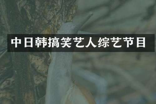 中日韩搞笑艺人综艺节目