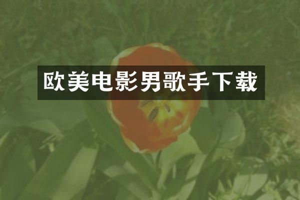 欧美电影男歌手下载