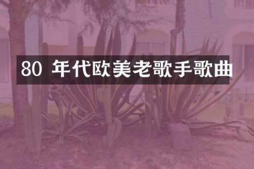 80 年代欧美老歌手歌曲