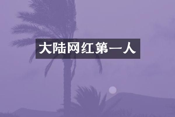 大陆网红第一人