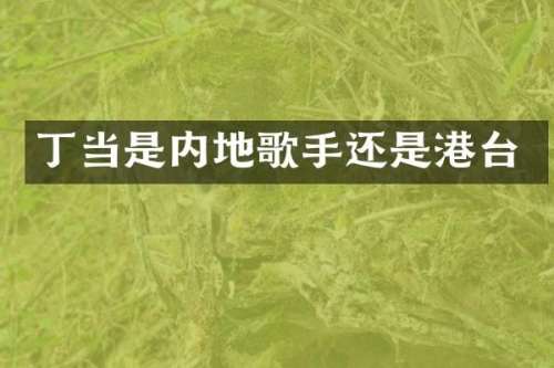 丁当是内地歌手还是港台