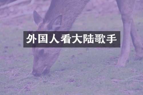 外国人看大陆歌手