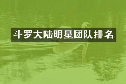 斗罗大陆明星团队排名