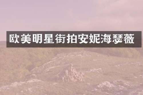 欧美明星街拍安妮海瑟薇