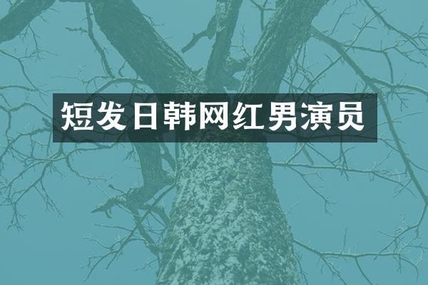 短发日韩网红男演员