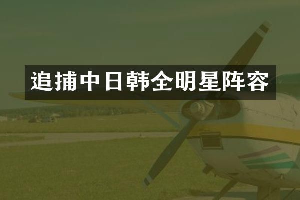 追捕中日韩全明星阵容