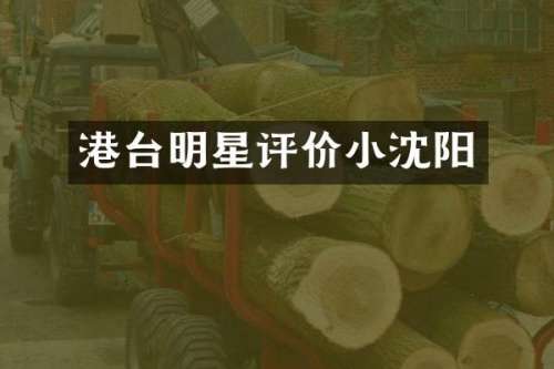 港台明星评价小沈阳