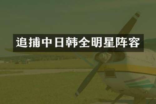 追捕中日韩全明星阵容