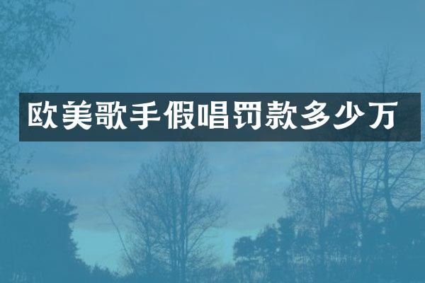 欧美歌手罚款多少万