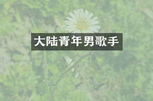 大陆青年男歌手