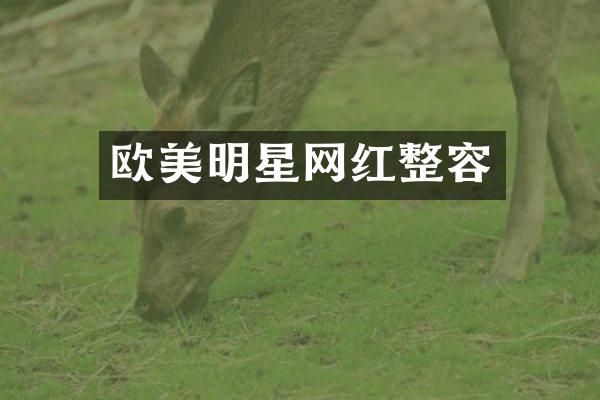 欧美明星网红整容